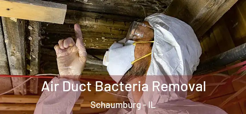  Air Duct Bacteria Removal Schaumburg - IL