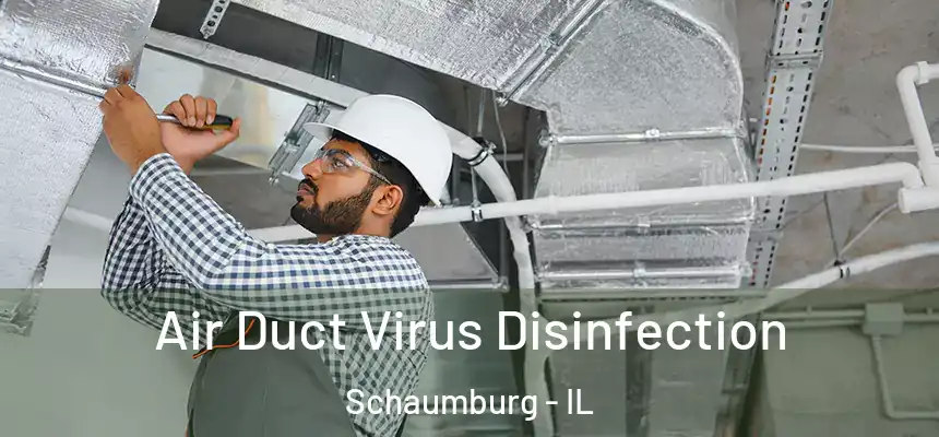  Air Duct Virus Disinfection Schaumburg - IL