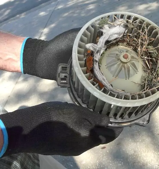 About Air Duct Mice Removal in Schaumburg, IL