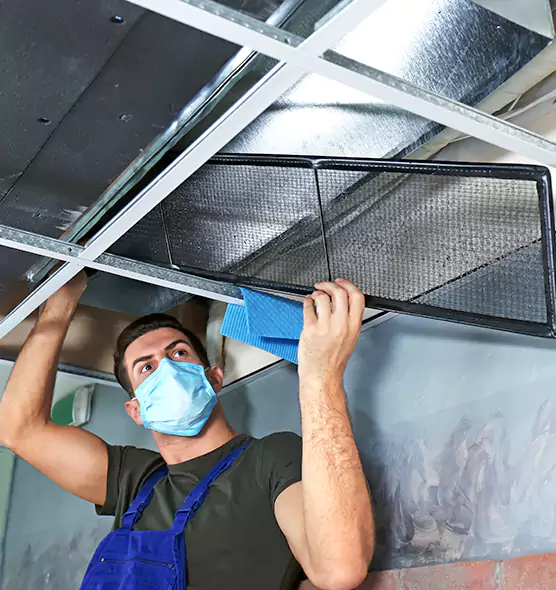 Professional Air Duct Pollen Cleaning in Schaumburg, IL
